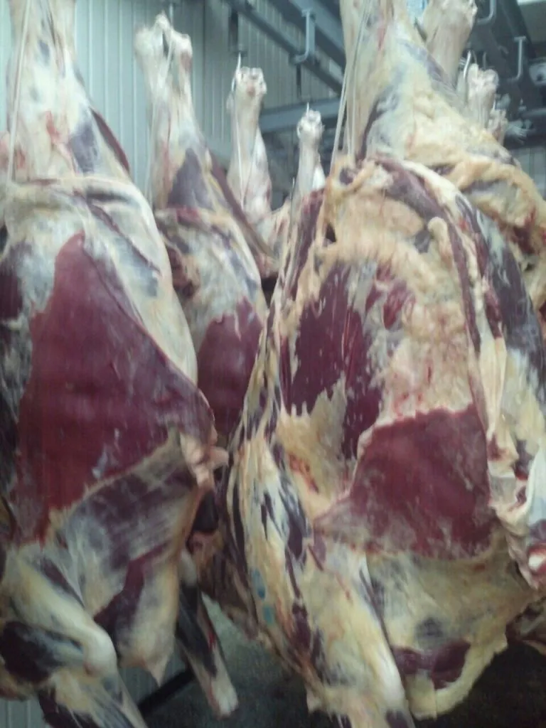 мясо говядина с бойни  в Краснодаре