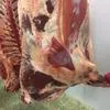 мясо говядина с бойни  в Краснодаре 3