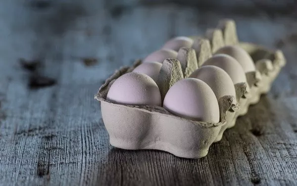 Птицефабрика «Хараблинская» запустит массовое производство белых яиц